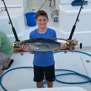 Meet your Posher, William